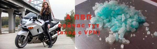 стаф Бугульма
