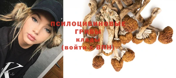mdpv Бронницы