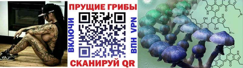 Псилоцибиновые грибы MAGIC MUSHROOMS  где купить   Северо-Курильск 